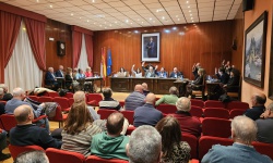 Momento de la aprobación del presupuesto con los votos a favor del Grupo Socialista