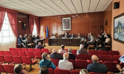 Grupo Socialista y Grupo Popular votan conjuntamente en la sesión plenaria de febrero