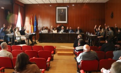 Unanimidad en la votación - Pleno ordinario del Ayuntamiento de Manzanares (marzo 2026)