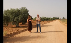 Plan de arreglo de caminos 2026 - Ayuntamiento de Manzanares