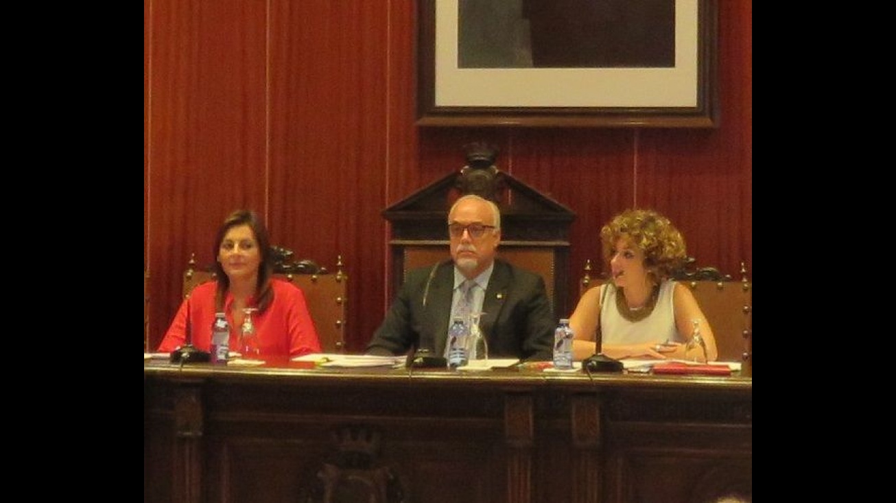 Pleno del Ayuntamiento de Manzanares