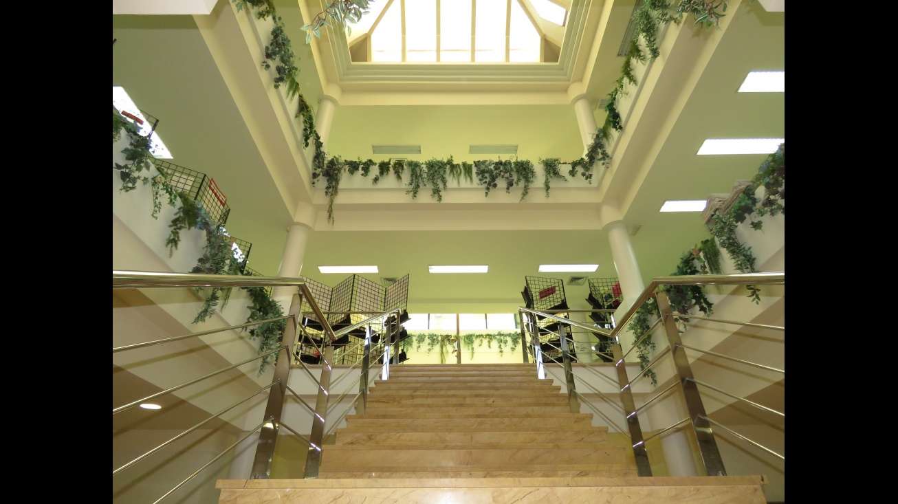 Escalera de acceso a las salas de adultos