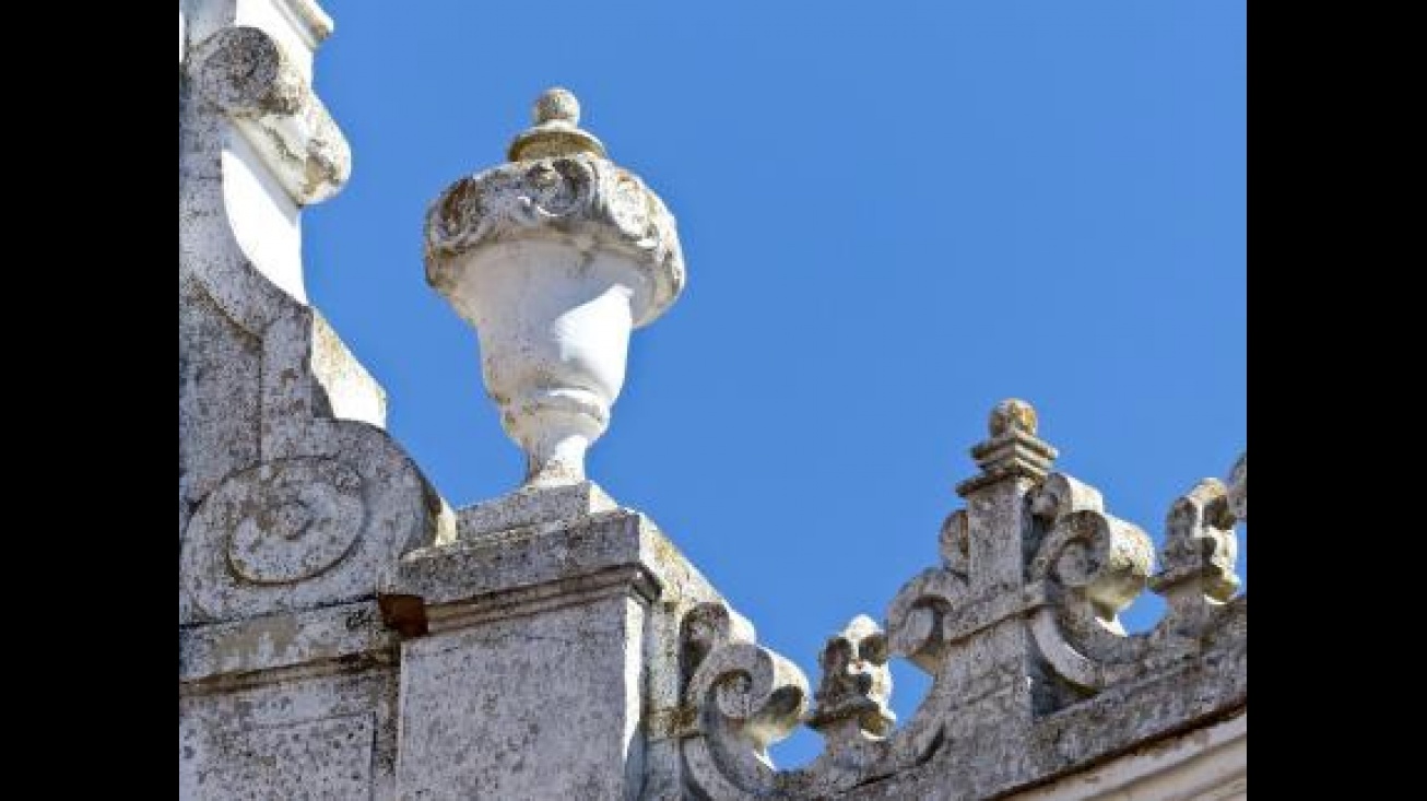 Detalle de una de las fotos premiadas en la primera edición