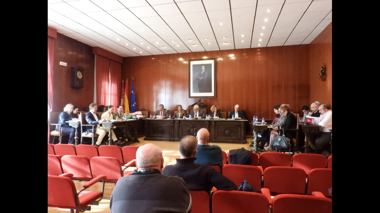 Imagen de archivo: pleno enero 2018