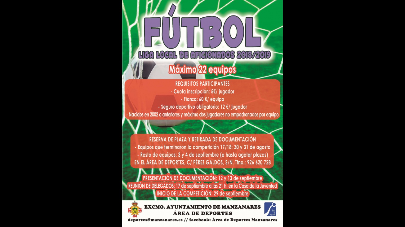 Liga Local De Fútbol 