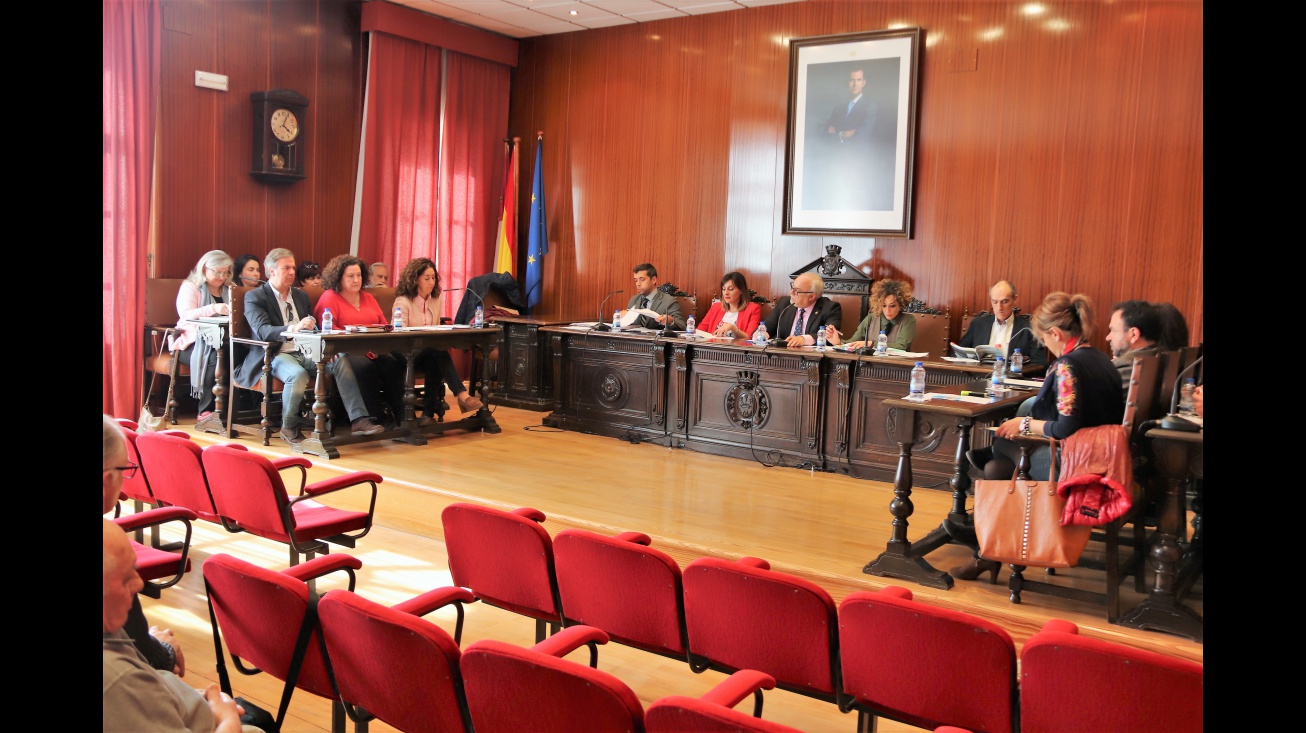 Pleno ordinario de marzo de 2019