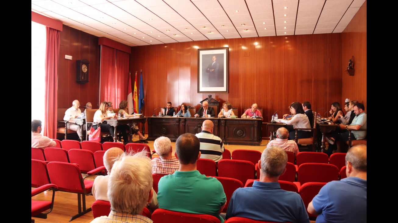 Pleno junio 2019