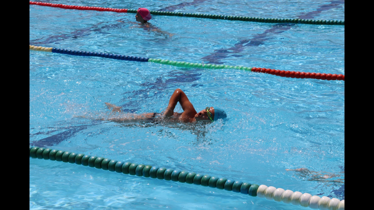 Cursos de natación y actividades acuáticas de verano