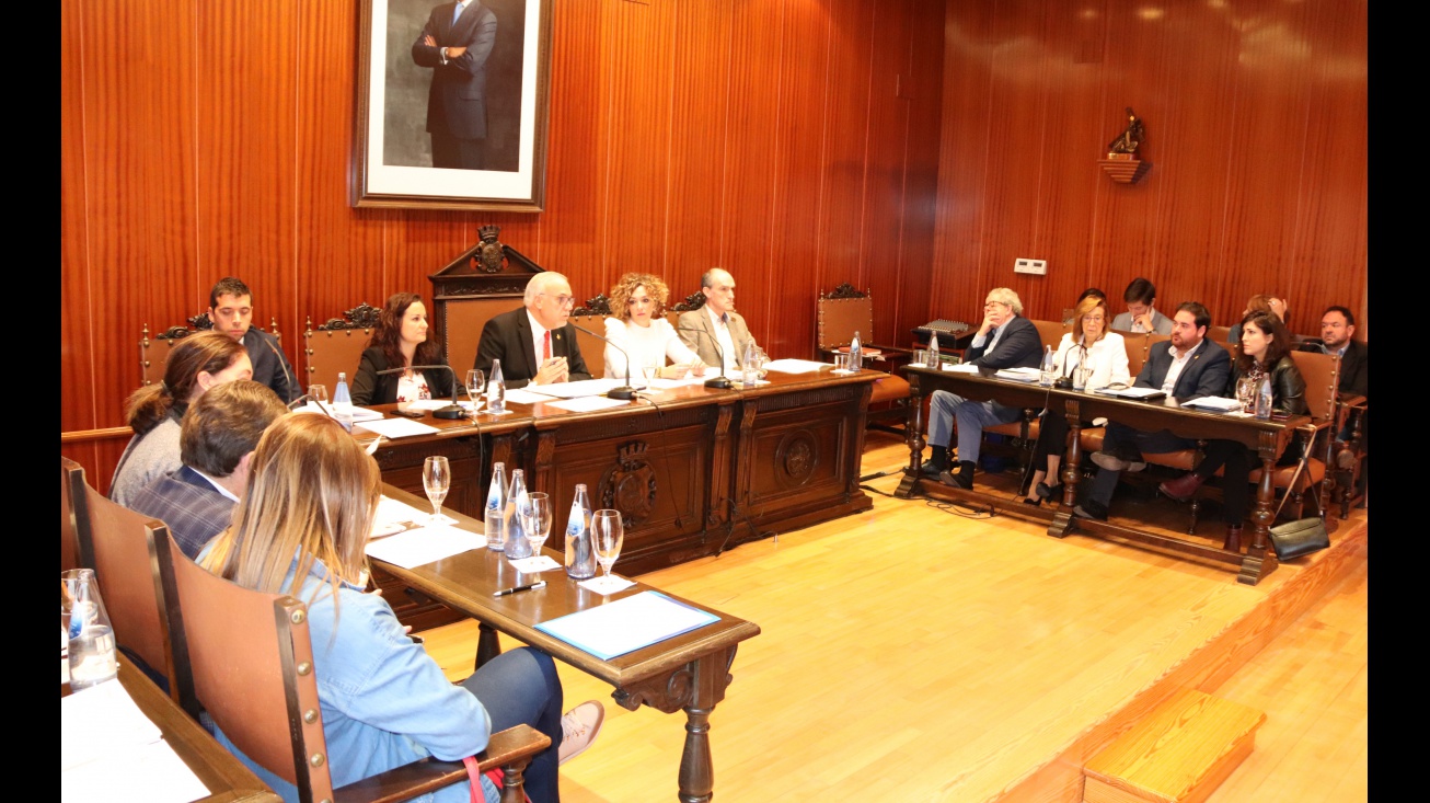 Pleno noviembre 2019