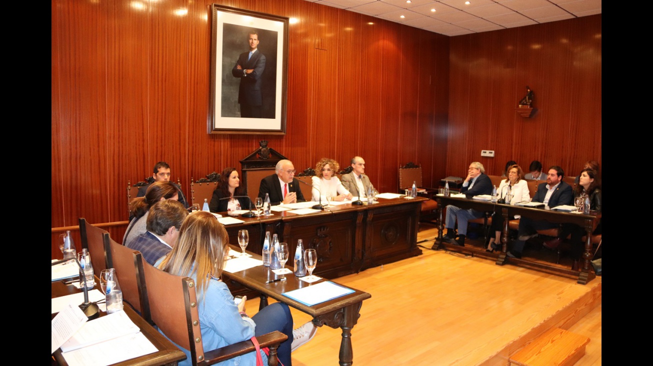 Pleno noviembre 2019