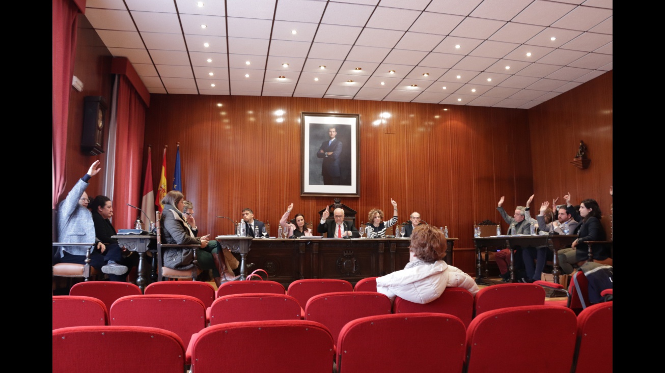 Pleno enero 2020