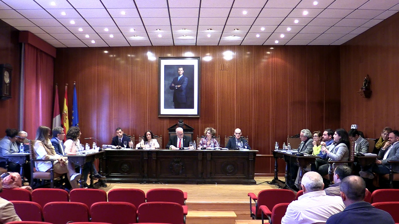 Pleno febrero 2020
