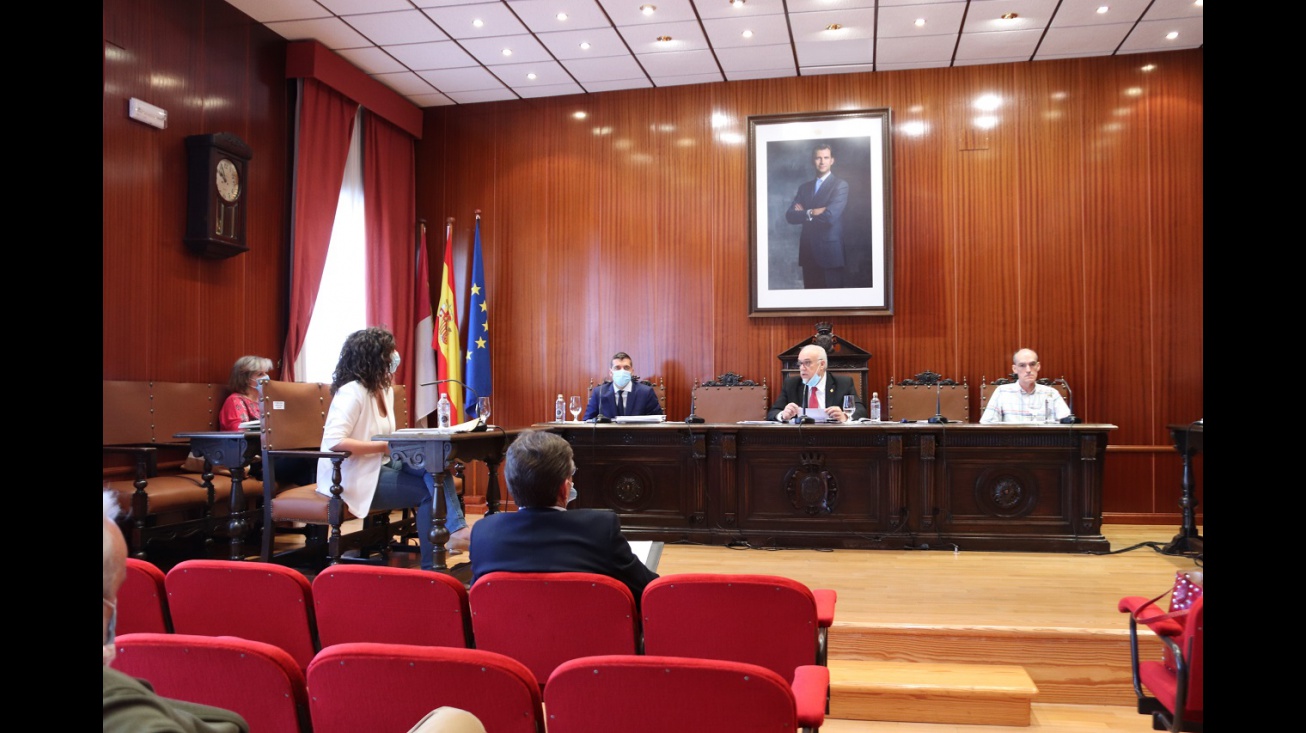 Pleno mayo 2020