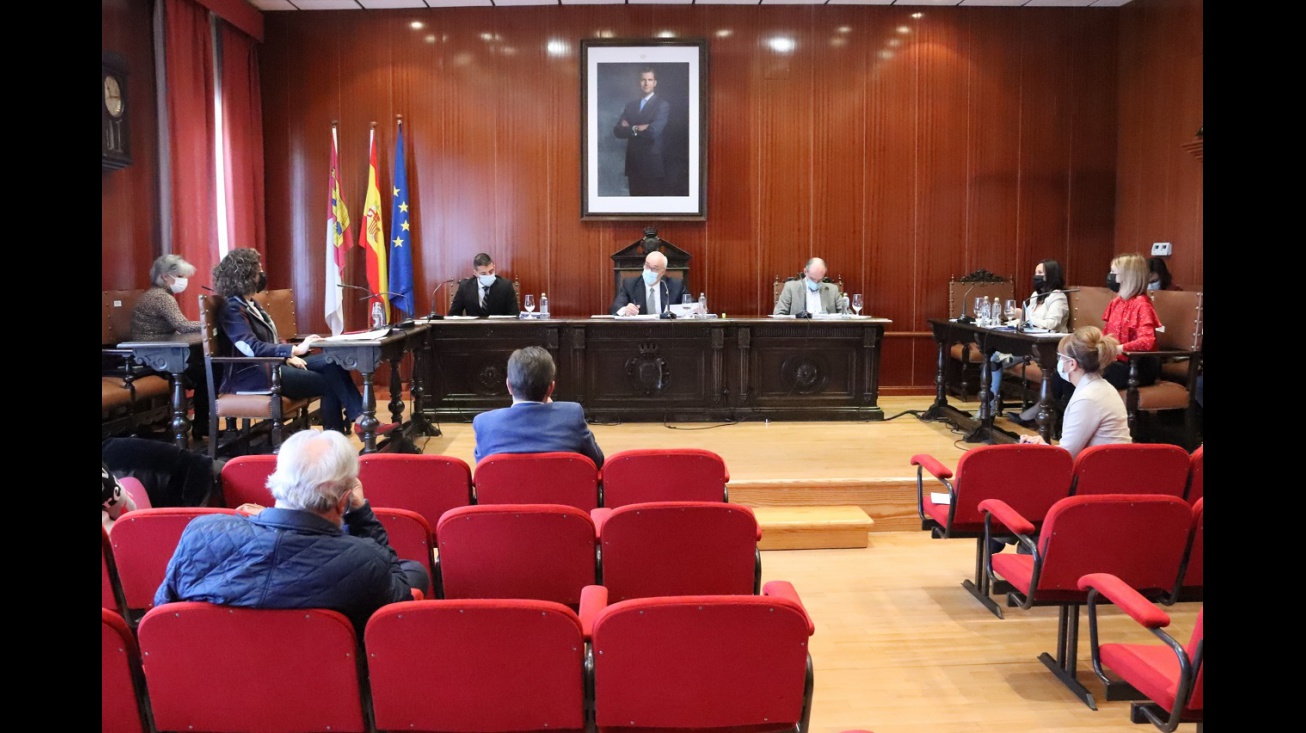 Pleno noviembre 2020
