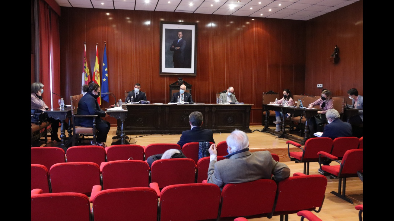 Vista de la sesión plenaria de diciembre de 2020