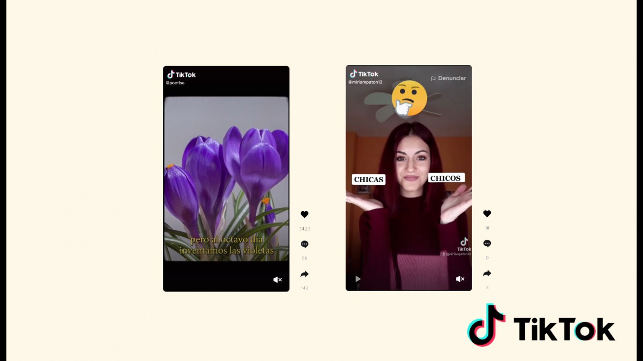 Fallo I Concurso Igualdad TikTok