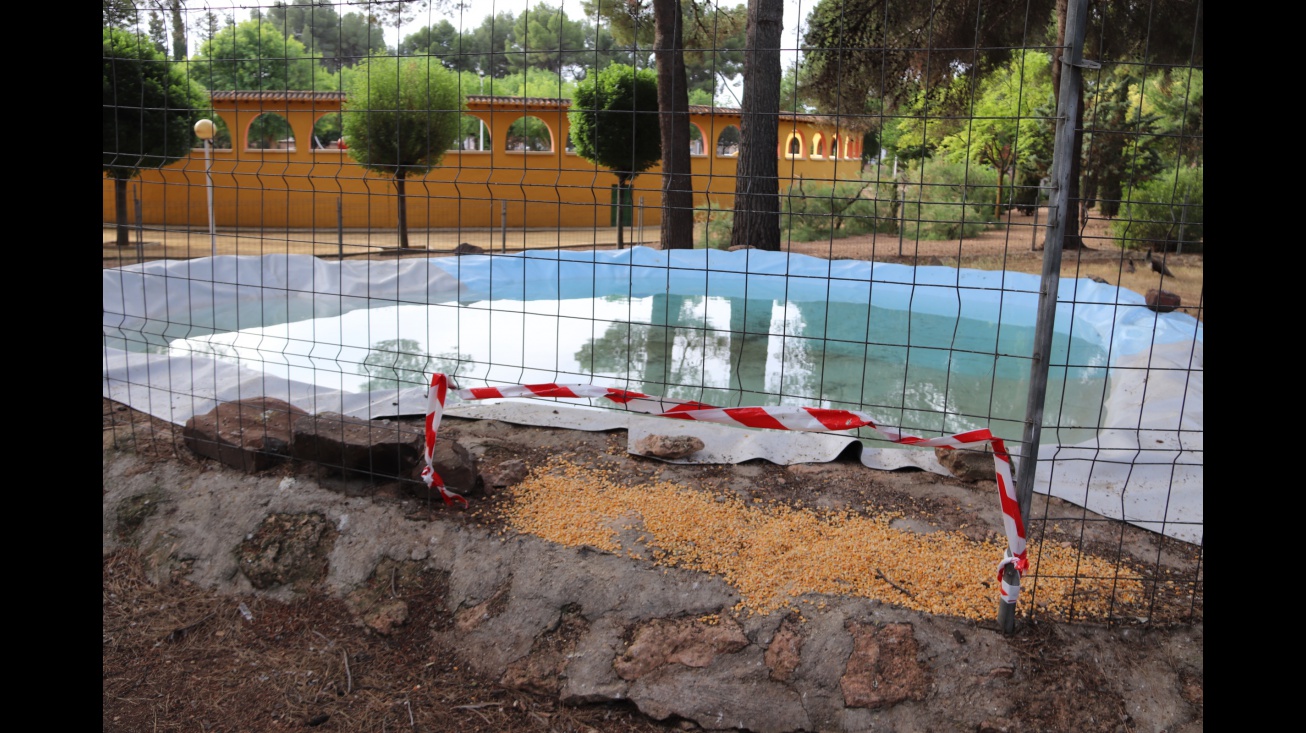 Una de las balsas habilitadas en el parque para las aves acuáticas