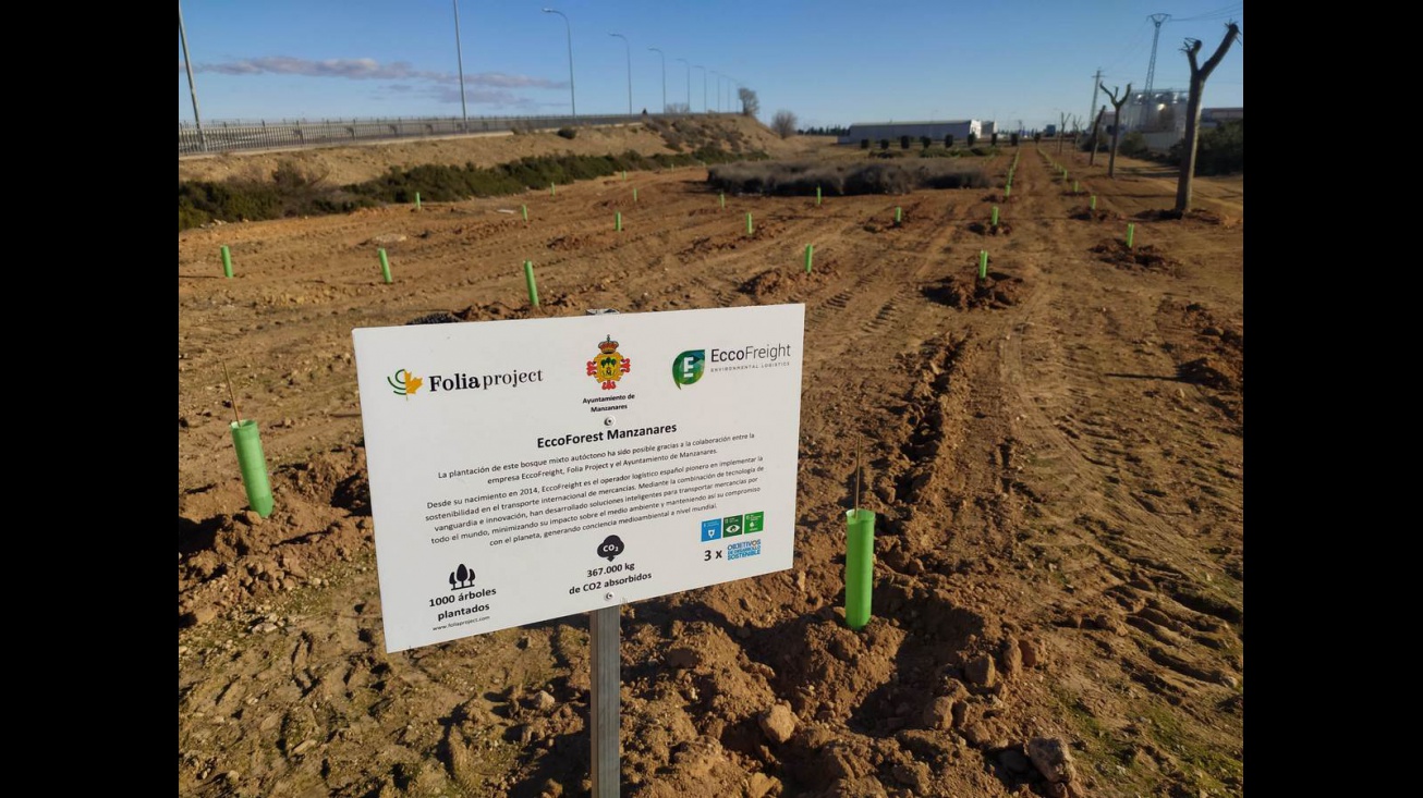 Plantación de 1000 árboles en el polígono industrial