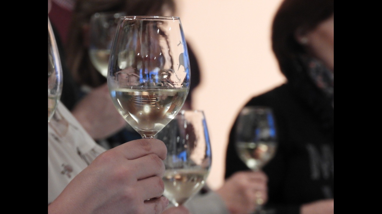 Imagen de archivo Manzanares alma del vino 2018