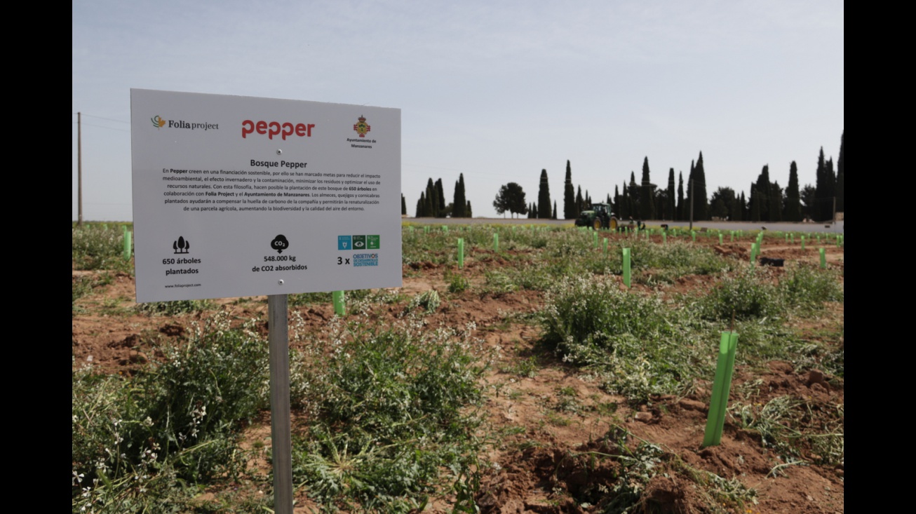 Segunda plantación de Folia Project en Manzanares
