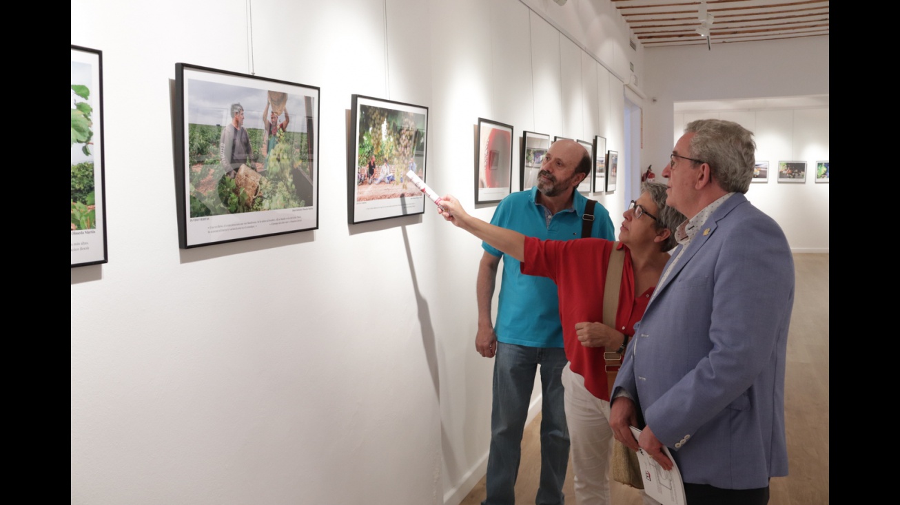 Exposición 'In vino veritas - En el vino está la verdad'