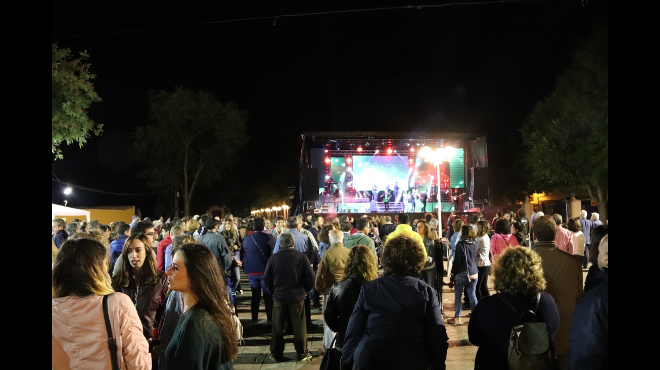Verbena popular 2019