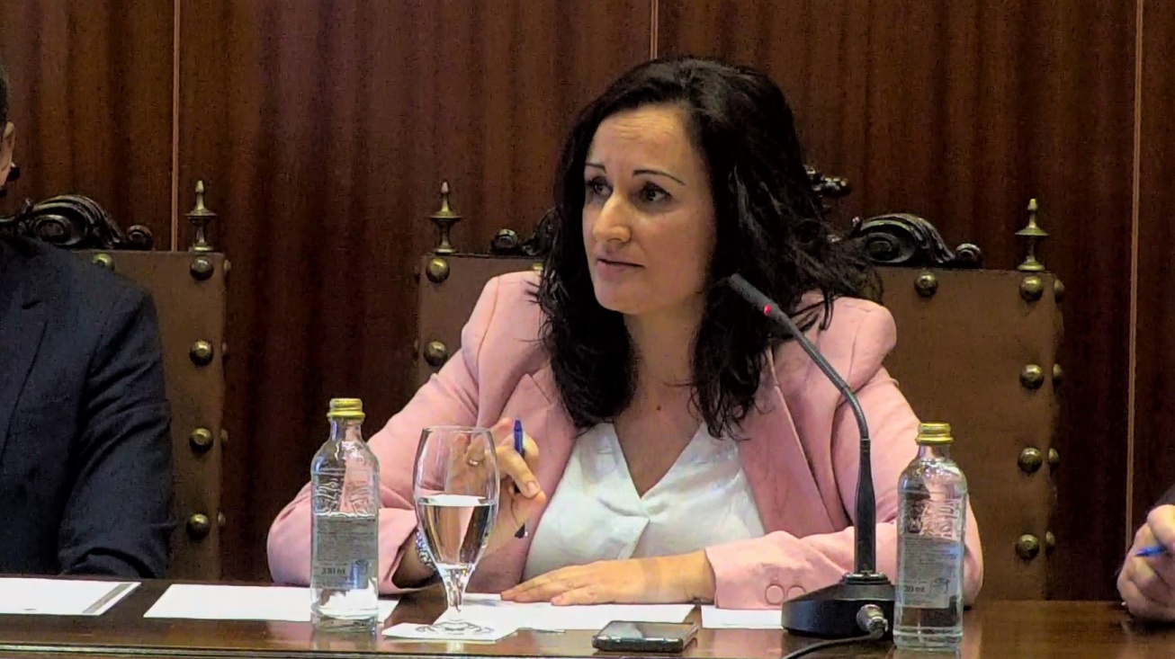 Prado Zúñiga durante su intervención en el pleno