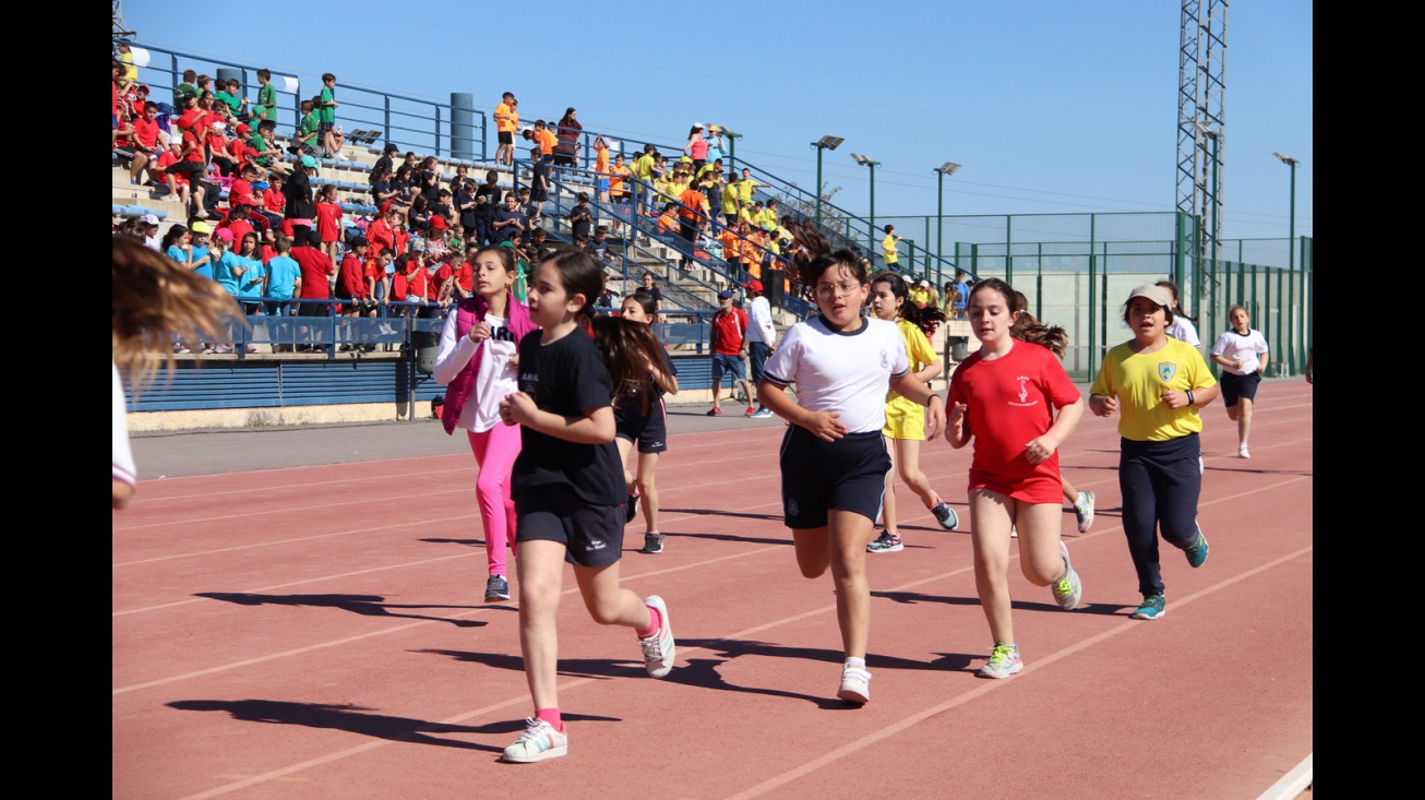Olimpiadas Escolares 2023