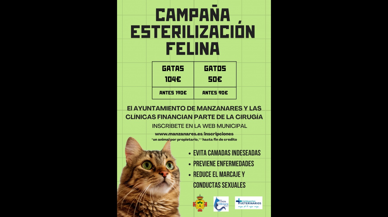 Campaña de esterilización felina