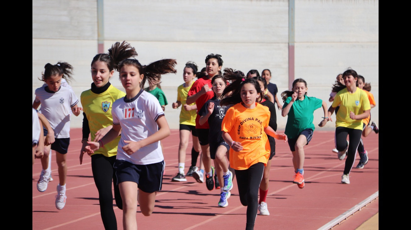 Olimpiadas Escolares 2024