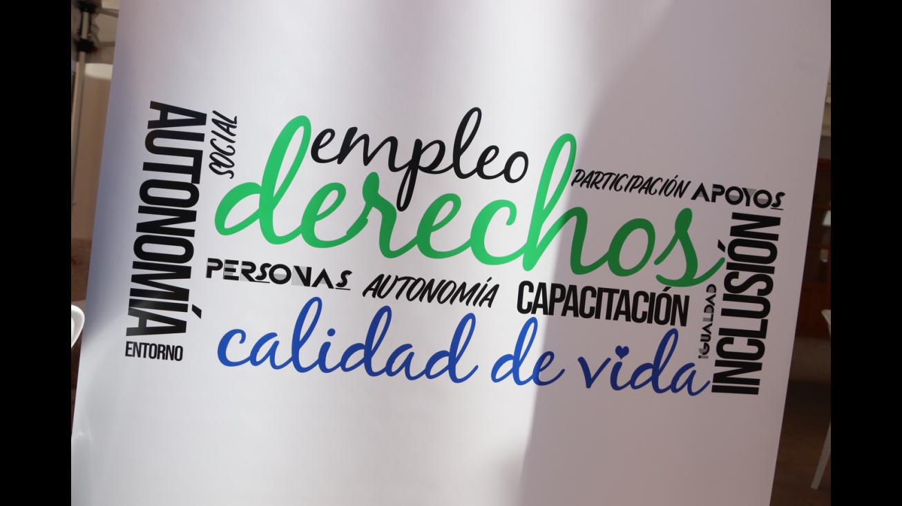 Día Internacional de las Personas con Discapacidad 2024 en Manzanares