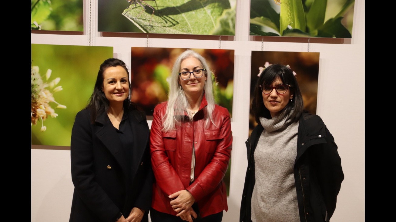 Exposición Pequeños paisajes, Isabel Nieto-Márquez