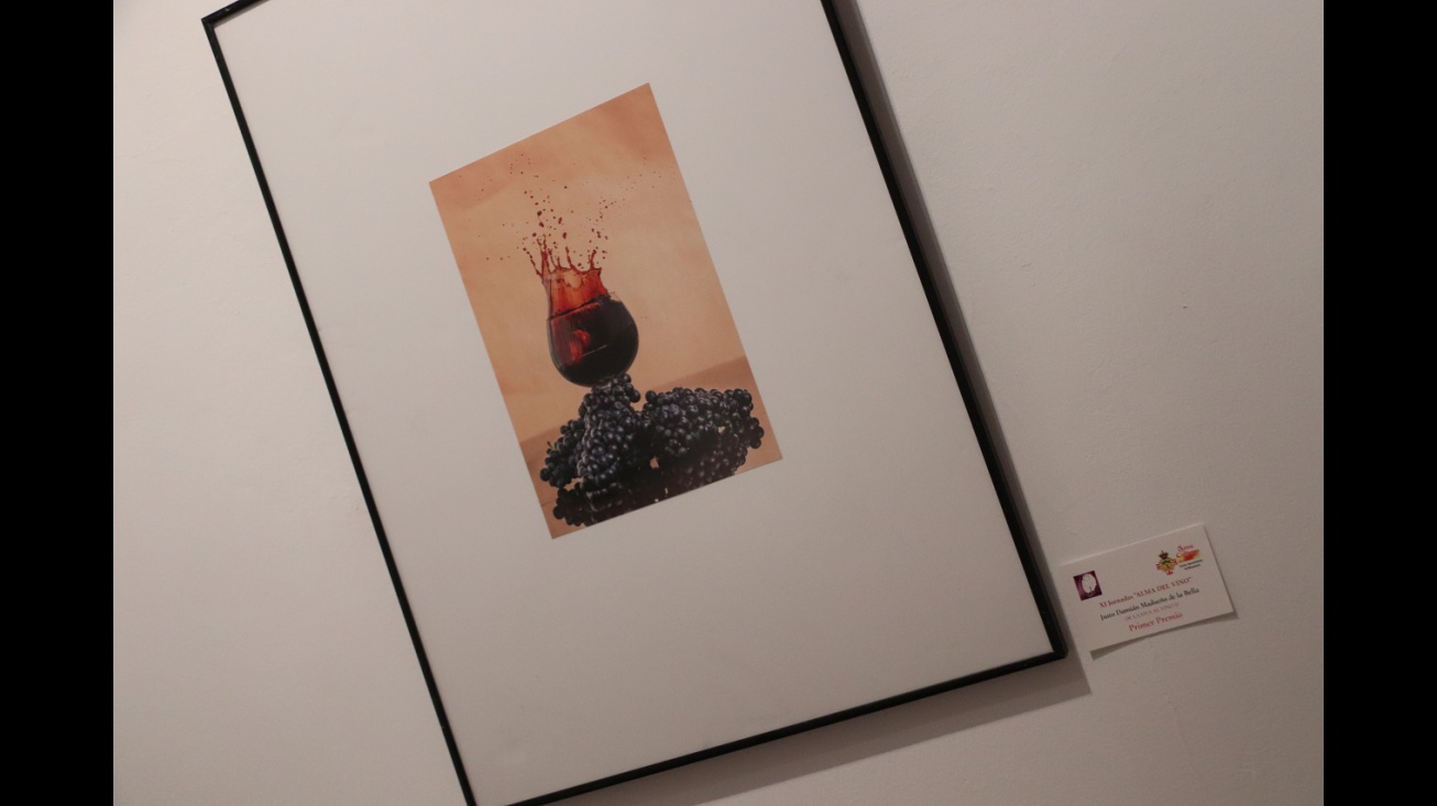 Concurso de fotografía de las XI jornadas 'Alma de Vino'