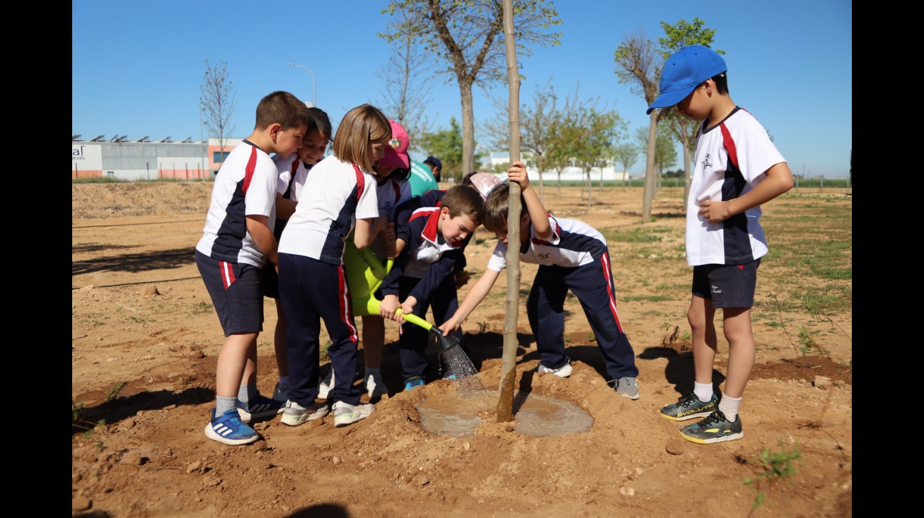 Día del árbol 2025