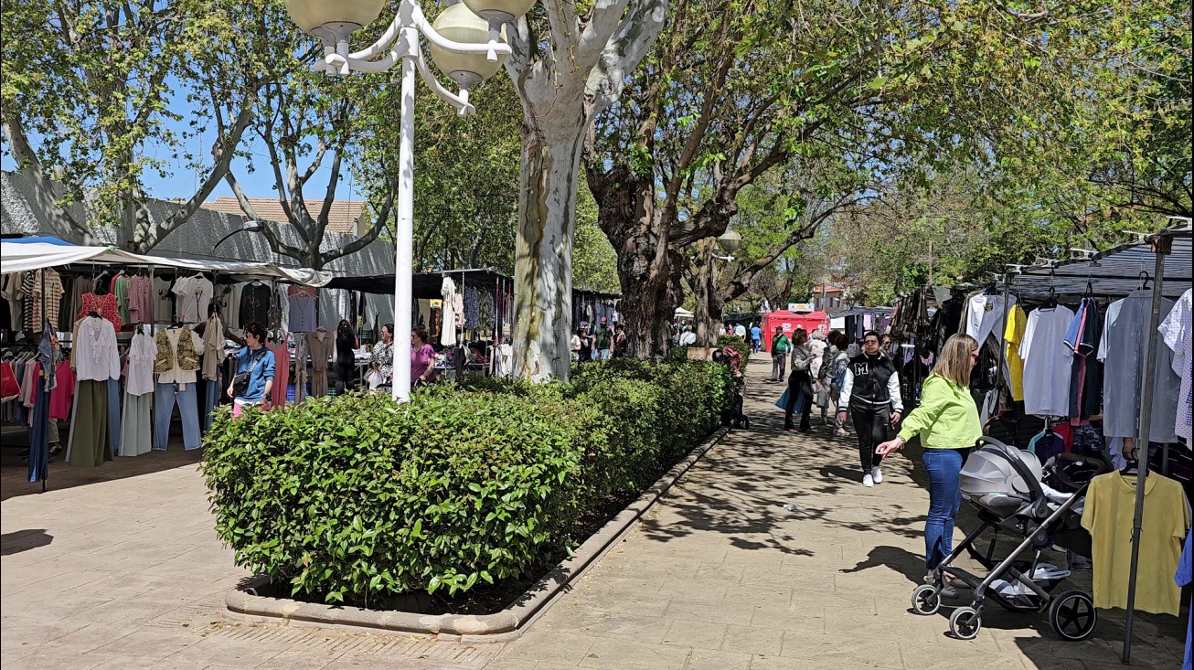 Mercadillo municipal de los viernes