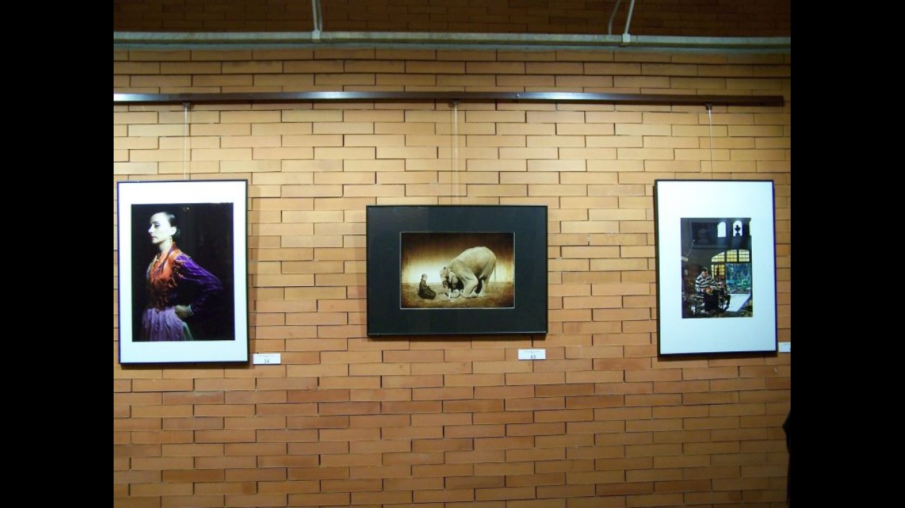 Fotos ganadoras de la VI Edición