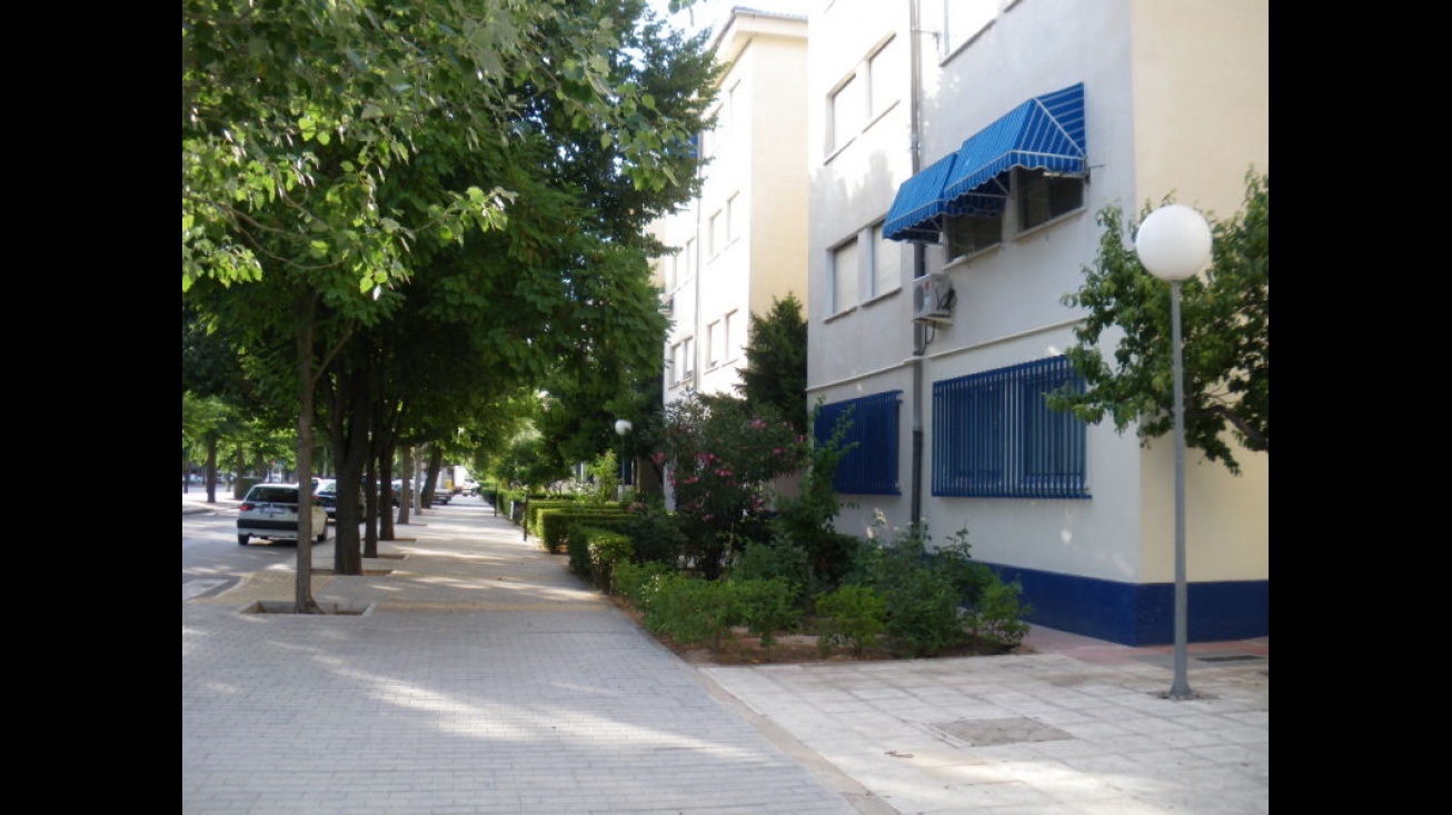 Barrio Av. del Parque